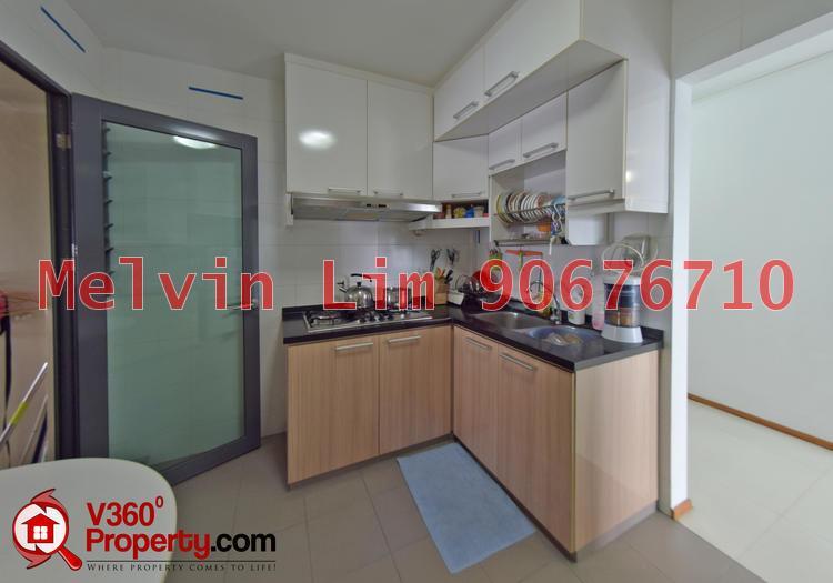 Blk 1B The Pinnacle@Duxton (Bukit Merah), HDB 4 Rooms #112019752